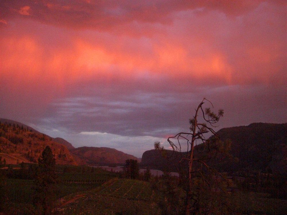Okanagan Falls Bighorn Ridge Guesthouse المظهر الخارجي الصورة