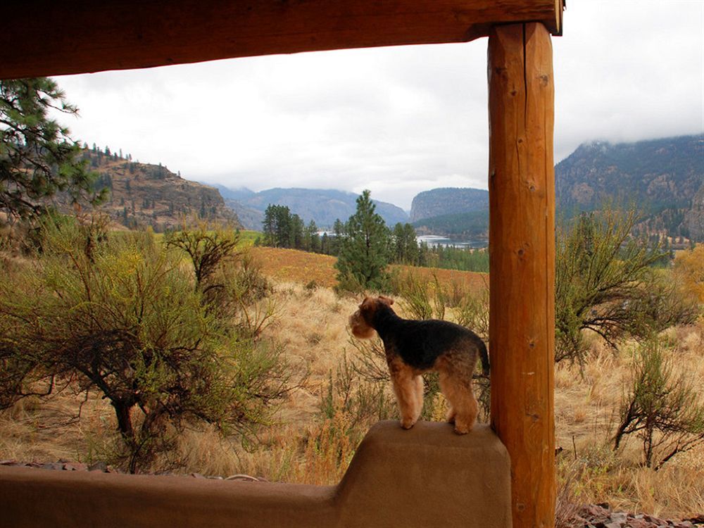 Okanagan Falls Bighorn Ridge Guesthouse المظهر الخارجي الصورة