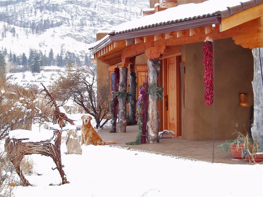 Okanagan Falls Bighorn Ridge Guesthouse المظهر الخارجي الصورة