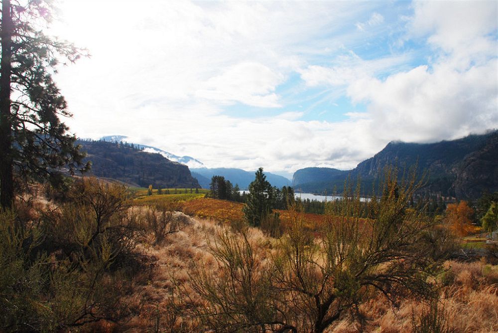 Okanagan Falls Bighorn Ridge Guesthouse المظهر الخارجي الصورة