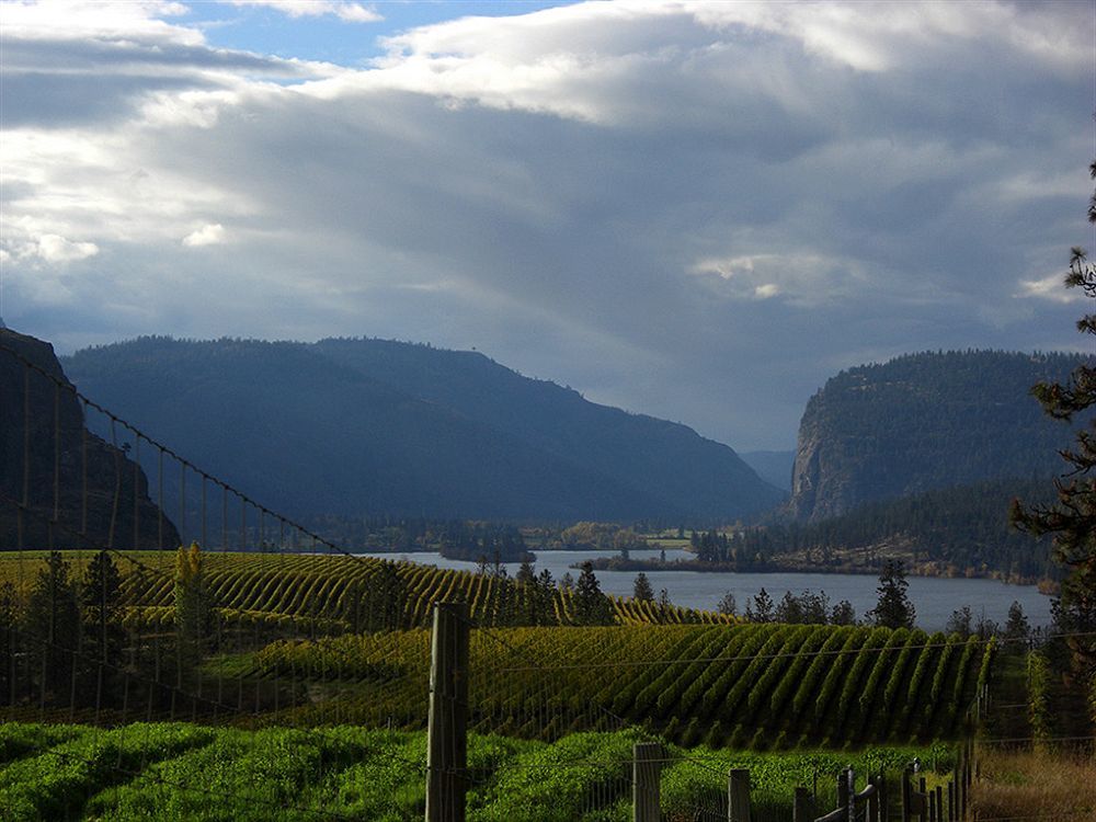Okanagan Falls Bighorn Ridge Guesthouse المظهر الخارجي الصورة