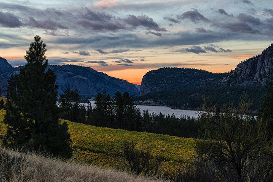 Okanagan Falls Bighorn Ridge Guesthouse المظهر الخارجي الصورة